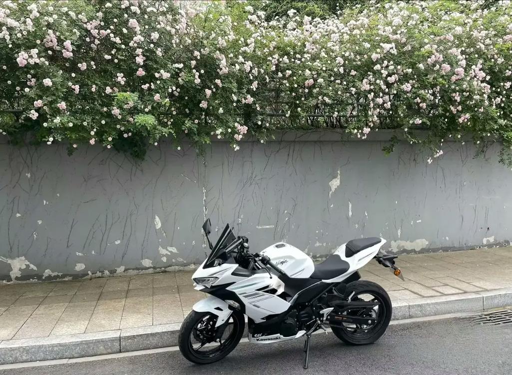 川崎忍者 400