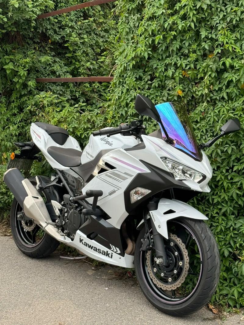川崎忍者Ninja500